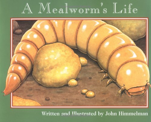 Book cover for A Mealworm's Life