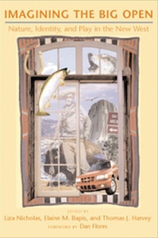 Cover of Imagining The Big Open