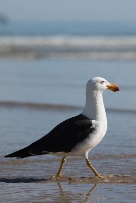 Book cover for A Seagull Strolling at the Shore Journal