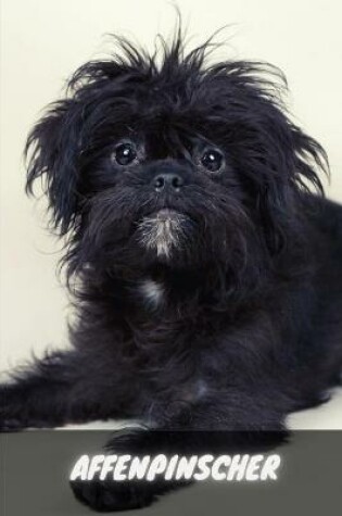 Cover of Affenpinscher