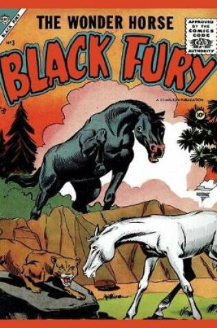 Cover of Black Fury # 3