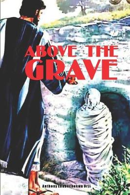 Book cover for Above the Grave