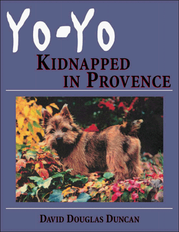 Book cover for Yo-Yo - Kidnapped in Provence