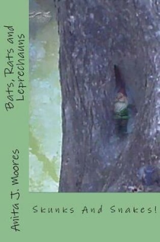 Cover of Bats, Rats and Leprechauns