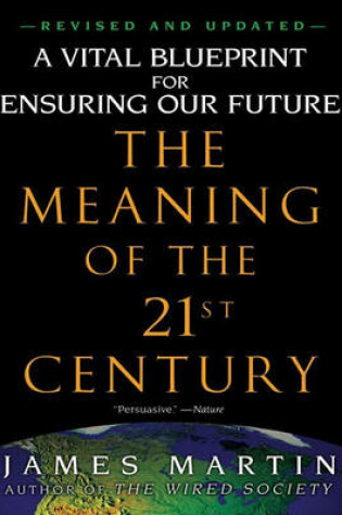Cover of The Meaning of the 21st Century