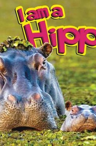 Cover of Hippopotamus