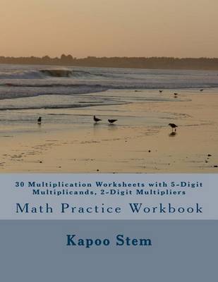 Book cover for 30 Multiplication Worksheets with 5-Digit Multiplicands, 2-Digit Multipliers