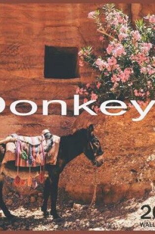 Cover of Donkeys