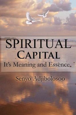 Book cover for Spiritual Capital