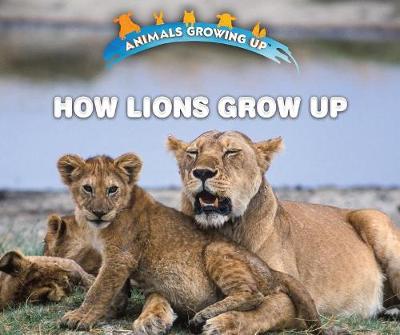 Book cover for How Lions Grow Up