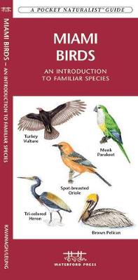 Book cover for Miami Birds