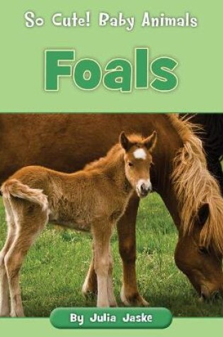 Cover of Foals