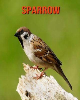 Book cover for Sparrow