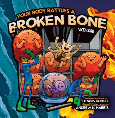 Book cover for Your Body Battles a Broken Bone