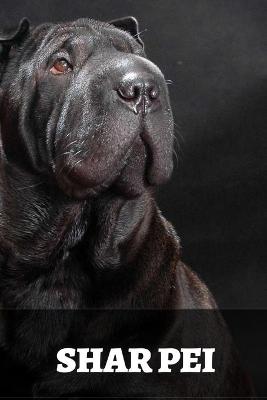 Book cover for Shar Pei