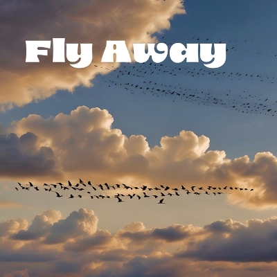 Book cover for Fly Away