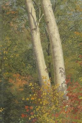 Book cover for Birch Trees in Autumn, Frederic Edwin Church. Ruled Journal