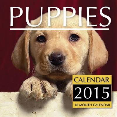 Book cover for Puppies Calendar 2015