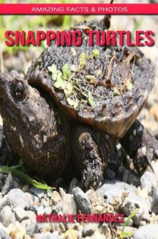 Cover of Snapping Turtles