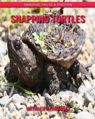 Book cover for Snapping Turtles