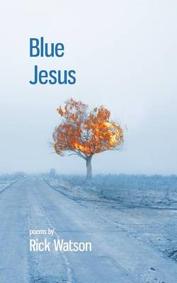 Book cover for Blue Jesus