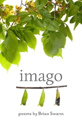 Cover of Imago