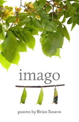 Book cover for Imago
