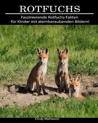 Book cover for Rotfuchs