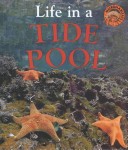 Book cover for Life in a Tide Pool