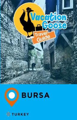 Book cover for Vacation Goose Travel Guide Bursa Turkey