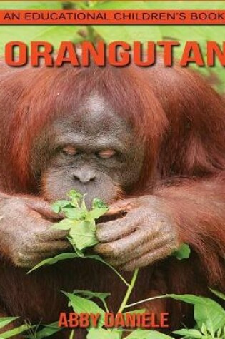 Cover of Orangutan! An Educational Children's Book about Orangutan with Fun Facts & Photos