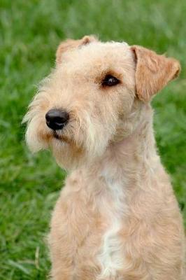 Book cover for The Lakeland Terrier Dog Journal