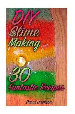 Cover of DIY Slime Making