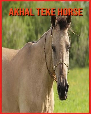 Book cover for Akhal Teke Horse