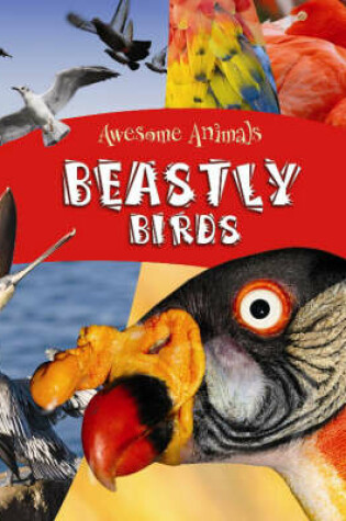 Cover of Beastly Birds and Bats