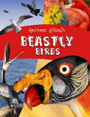 Book cover for Beastly Birds and Bats