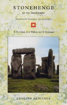 Book cover for Stonehenge in its Landscape