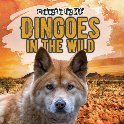 Cover of Dingoes in the Wild