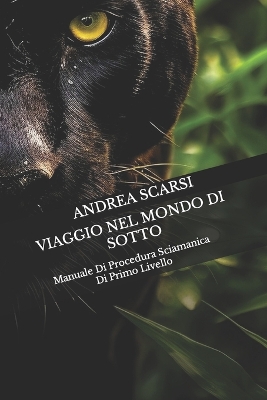 Cover of Viaggio Nel Mondo Di Sotto