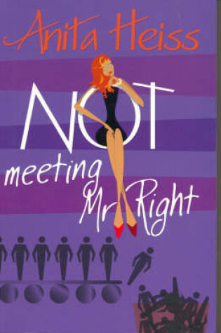 Cover of Not Meeting Mr Right