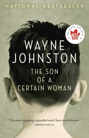 Book cover for The Son of a Certain Woman