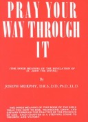 Book cover for Pray Your Way through it