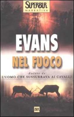 Book cover for Nel Fuoco