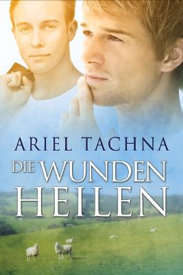 Book cover for Die Wunden heilen Volume 5