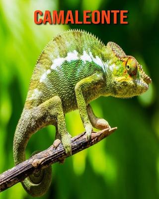 Book cover for Camaleonte