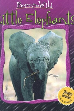 Cover of Little Elephants