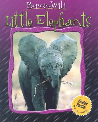 Book cover for Little Elephants