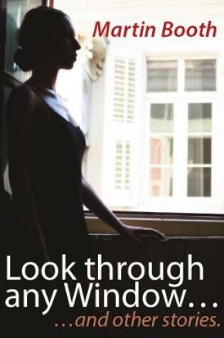 Cover of Look through Any Window