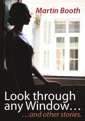 Book cover for Look through Any Window