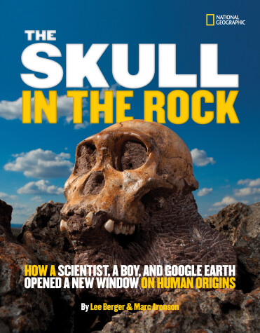 Book cover for The Skull in the Rock